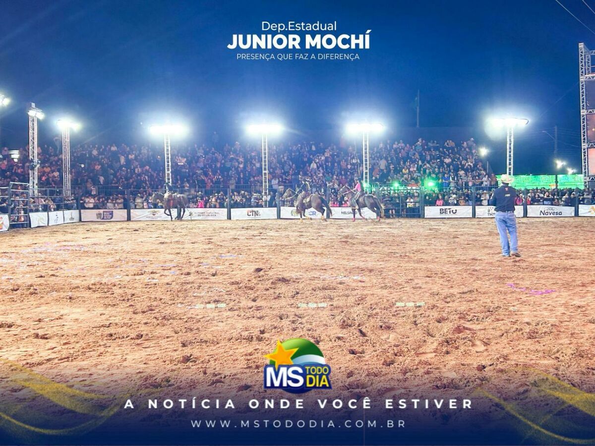 Imagem da Galeria